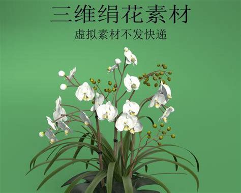 代表女性的花|代表女性的植物（探寻女性美的真谛）